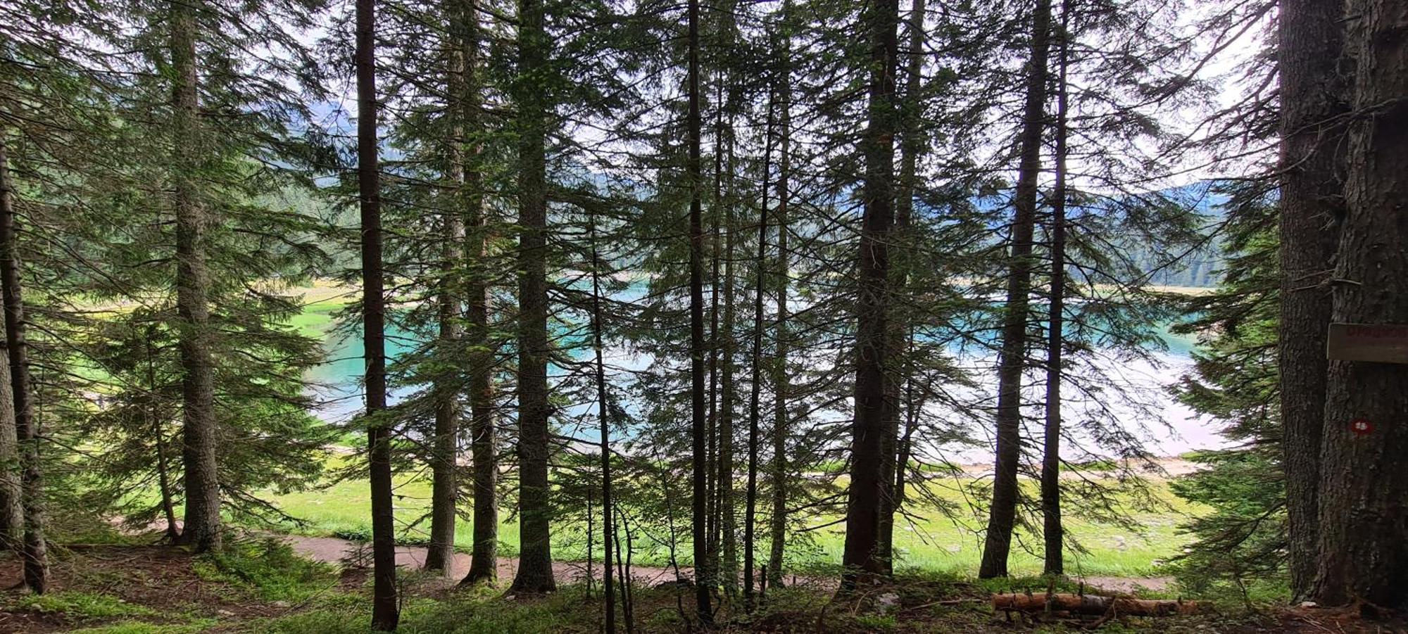 Mountain Villas Zabljak Екстериор снимка
